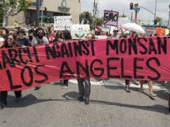Thousands Worldwide March Against Monsanto and GM Crops
