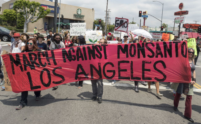 Thousands Worldwide March Against Monsanto and GM Crops