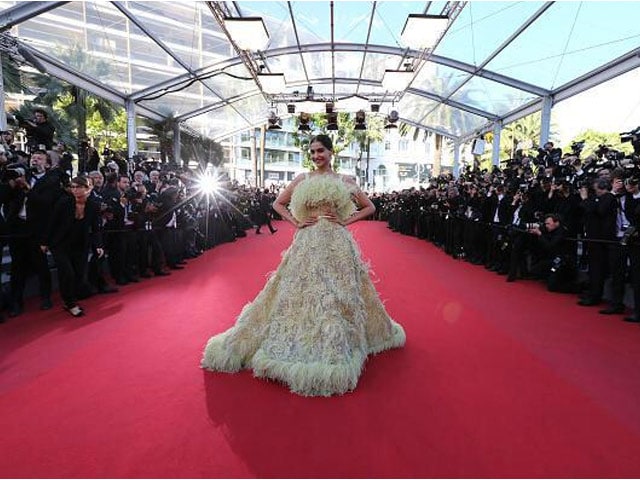 Cannes 2015: The Internet Hates Sonam Kapoor's 'Big Bird' Dress