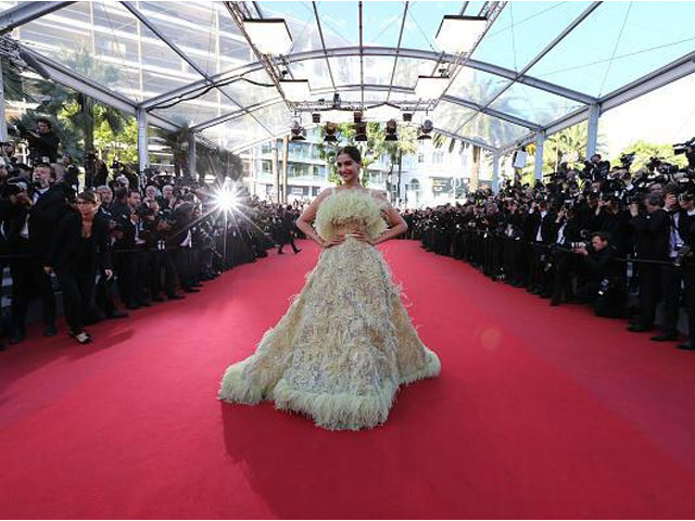Cannes 2015: The Internet Hates Sonam Kapoor's 'Big Bird' Dress Cannes 2015: The Internet Hates Sonam Kapoor's 'Big Bird' Dress