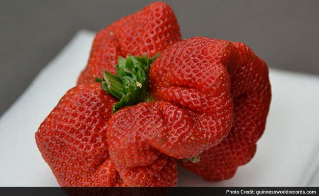 Strawberry Weighing 250 Grams Breaks 32 Year-Old World Record