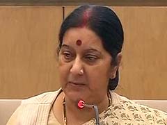 Sushma Swaraj Addresses a Press Conference on Modi Government's One Year in Power: Highlights