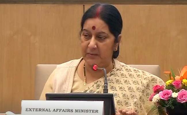 Sushma Swaraj Addresses a Press Conference on Modi Government's One Year in Power: Highlights