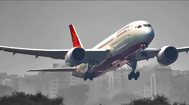 Passenger Finds Lizard in His In-Flight Meal. Air India Says it's a Hoax!