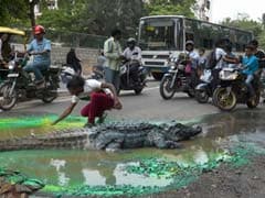 When Bengaluru Found a Crocodile on a Main Street