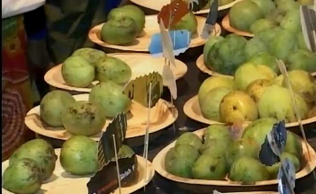 Bengaluru Celebrates With Mangoes as Summer Makes Way for Monsoons