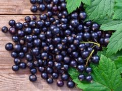 Black Raspberries May Be New Superfood