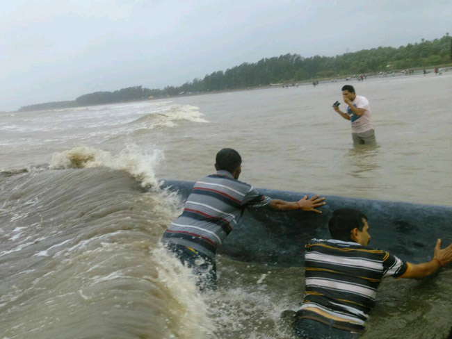 अलीबाग में समंदर किनारे 42 फुट लंबी व्हेल की मौत, 12 घंटे तक बचाने की कोशिशें रहीं नाकाम