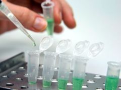 Take a Breath: A Simple Test That Can Detect Stomach Cancer Take a Breath: A Simple Test That Can Detect Stomach Cancer