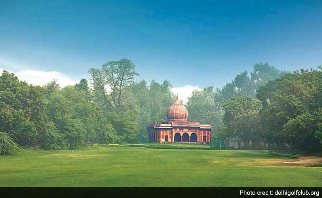 Over 800 Logs Of Trees Found Buried At Delhi Golf Club: Official
