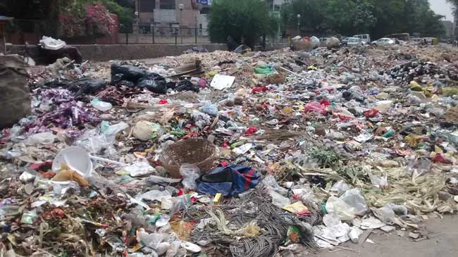 रवीश रंजन शुक्ला का ब्लॉग : दिल्ली की कचरा-कचरा होती राजनीति