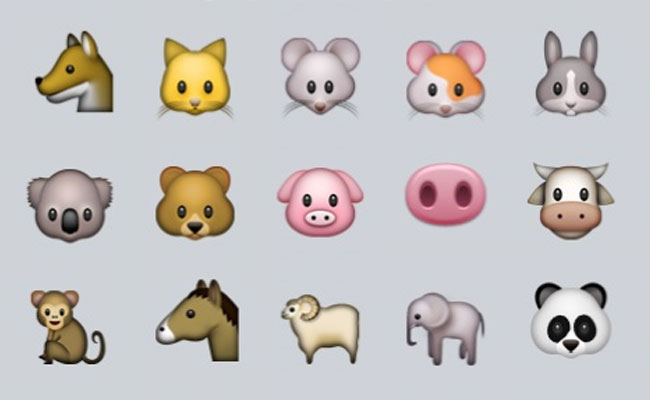 Are Emojis Going to Replace Pin Numbers?