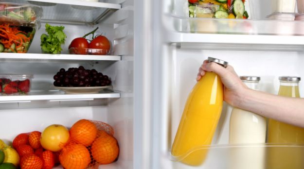 Kitchen Appliance Review: Our Pick for The Best Single-Door Budget Refrigerator