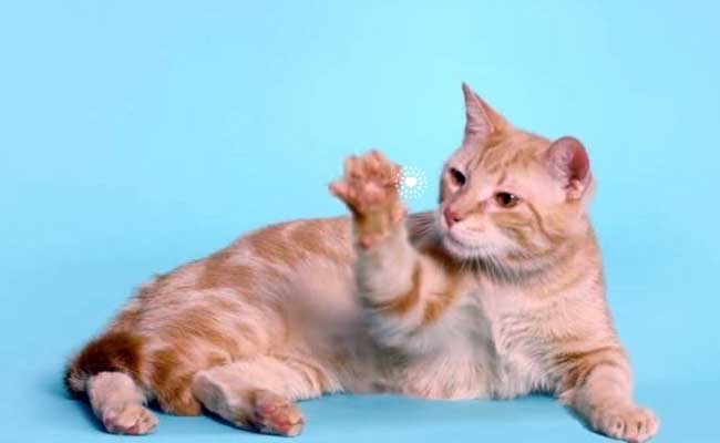 The Power of Touch: This Interactive Video is Your Monday Fix