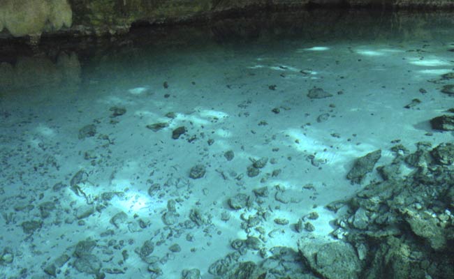 13 To 15% Of Delhi's Groundwater Samples Contaminated With Uranium: Report