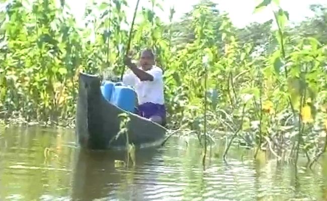 Meet the Man Who Planted an Entire Forest to Curb Pollution