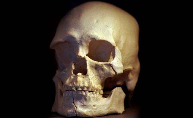 DNA Analysis Reignites Fierce Debate Over Fate of 9,000-Year-Old Skeleton