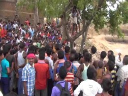 Leopard Beaten to Death in West Bengal Village Leopard Beaten to Death in West Bengal Village