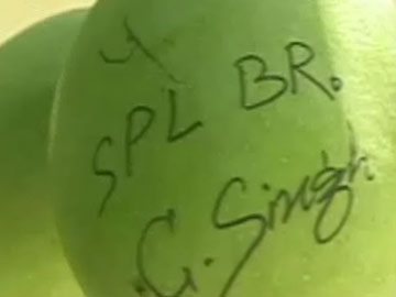 कहीं चोरी न हो जाए... अर्जुन मुंडा के घर आमों पर लिखे गए नंबर