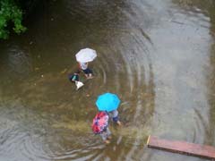 Boy Missing in Mumbai After Rains; Navy Teams Join Rescue Operation