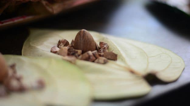 betel-nuts-what-makes-it-so-popular-in-the-northeast-1