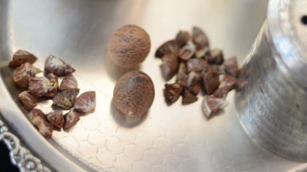 betel-nuts-what-makes-it-so-popular-in-the-northeast-3