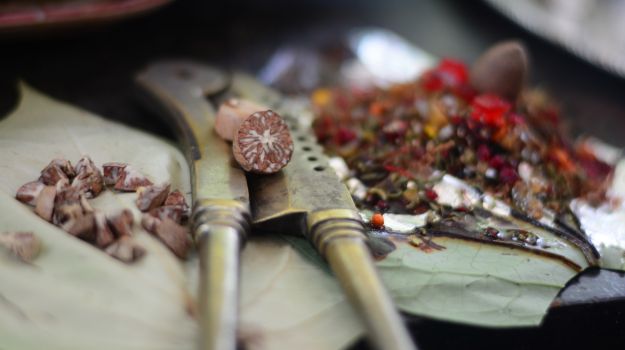 Betel Nuts: What Makes it So Popular in the Northeast?