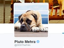 <i>Who Let The Dog Out</i>? <i>Dil Dhadakne Do</i>'s Pluto Mehra is on Twitter