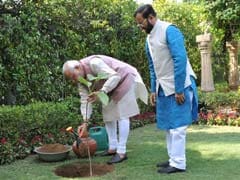 On World Environment Day, PM Modi Plants a Sapling