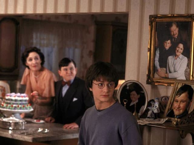 Blog: Harry Potter and the Hateful Dursleys, a Muggle's Point of View
