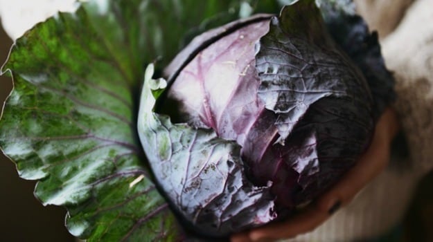 Season's Eating: Pickled Red Cabbage