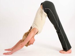 रोज 30 बार करें यह योग वजन होगा कम, बालों का झड़ना जाएगा रुक और हड्डियां होंगी मजबूत रोज 30 बार करें यह योग वजन होगा कम, बालों का झड़ना जाएगा रुक और हड्डियां होंगी मजबूत