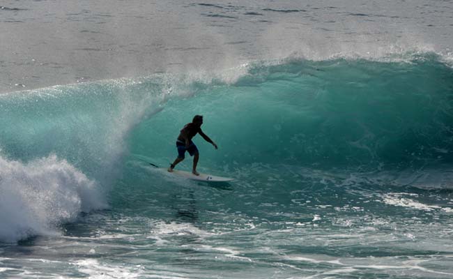 Surfer Escapes Shark Attack At Australian Beach By Throwing A Punch