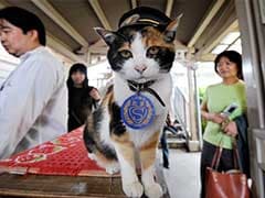 Stationmaster, Tourist Magnet, Cat: Tama Dies in Japan