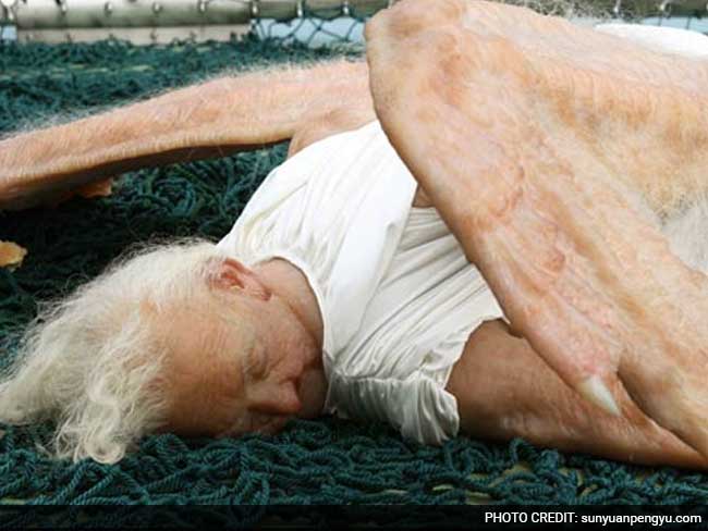 चर्चा में: वायरल हुई यह 'परी' है या इंसान? या फिर कुछ और...