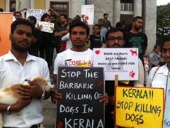 Bengaluru's Animal Lovers Protest Against Culling of Street Dogs by Kerala