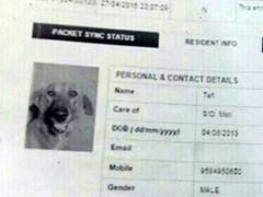 This Dog in Madhya Pradesh Has an Aadhaar Card. Owner is Now Arrested