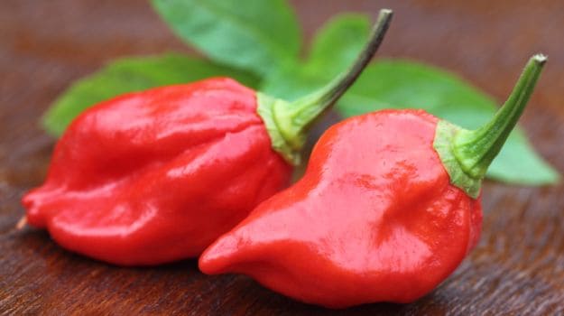 Many Shades of Red! Chillies of India, From Sizzling Sensations to Mild  Marvels - NDTV Food