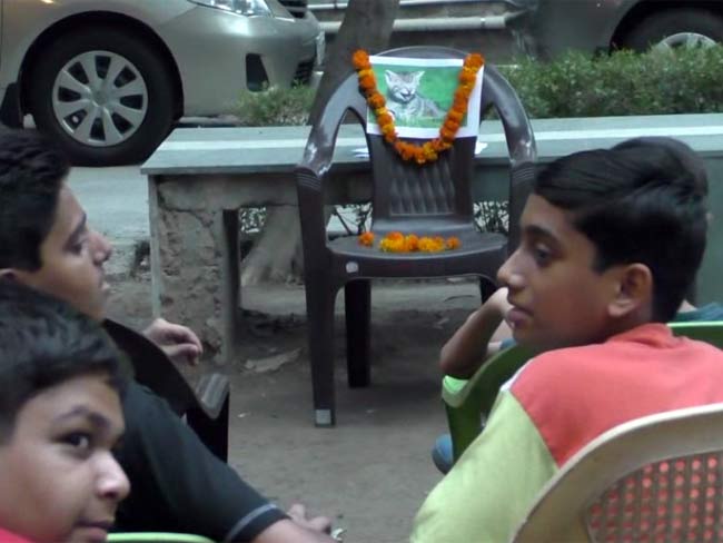 बच्चों ने बुलाई बिल्ली के बच्चे की मौत पर शोक सभा