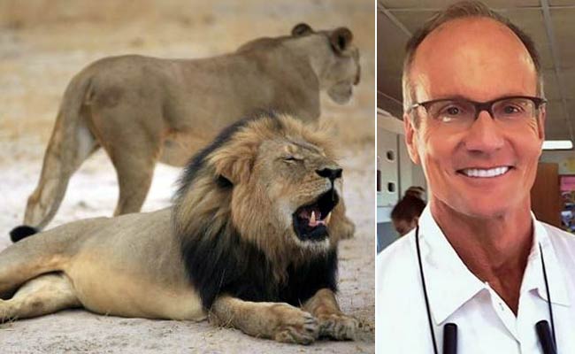 Opinion: Cecil The Lion Has Exposed More Than Just An Idiot Dentist