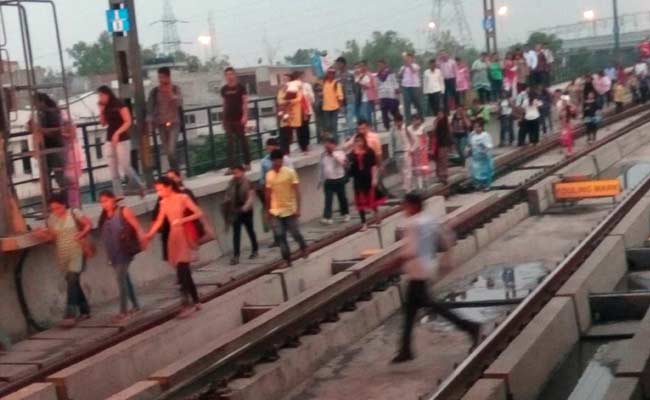 Dead Crow Caused Rush Hour Metro Chaos in Delhi