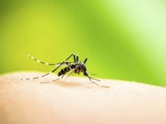 First Effective Dengue Drug Soon