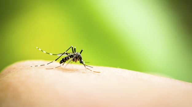 China's Guangdong Province Reports 791 Dengue Cases