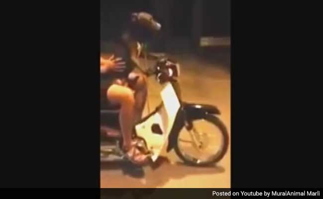 Dog Filmed Steering Motorcycle, Owner Faces Hefty Fine