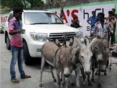 In Surat, Land Cruiser Runs on Donkey Power