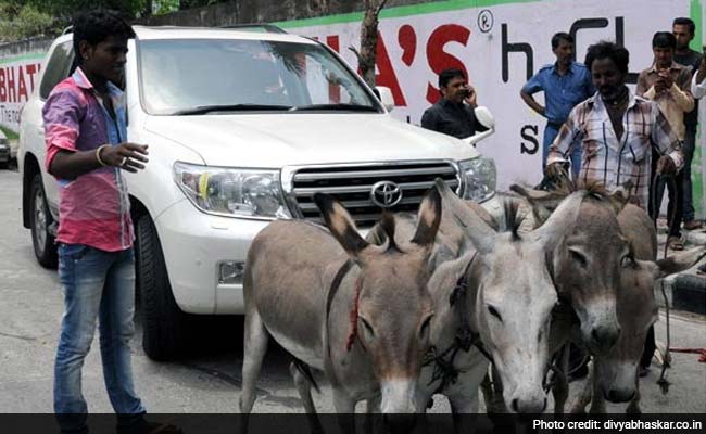 In Surat, Land Cruiser Runs on Donkey Power