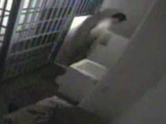 Video Shows Last Seconds in Jail of Escaped Druglord