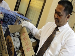 Indonesia Arrests Man Selling Protected Eagles on Facebook Indonesia Arrests Man Selling Protected Eagles on Facebook
