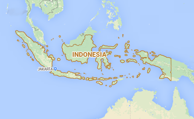 Search Begins for Aircraft Carrying 10 People in Indonesia