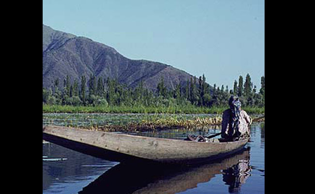 Resurgence of Militancy in Kashmir? 60 Young Men Join Militants in 5 Months